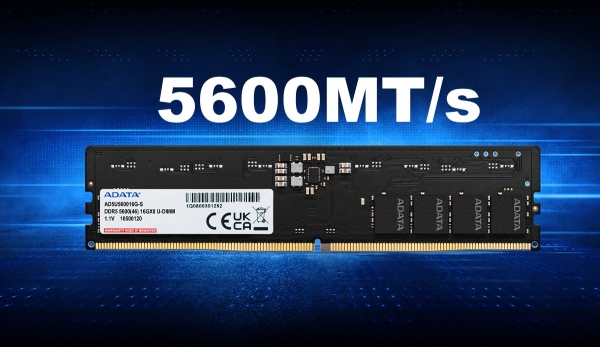 Adata AD5U560032G-S 32 GB 5600 MT