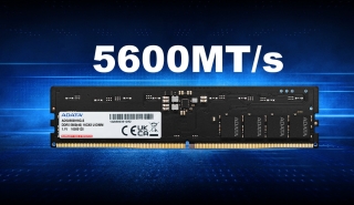 Adata AD5U560032G-S 32 GB 5600 MT