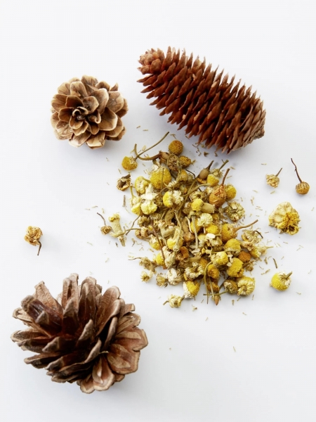 American Crew Chamomile & Pine 250 ml 3'ü 1 Arada
