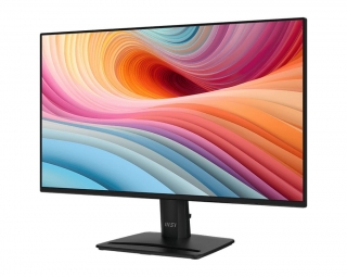 MSI Pro MP252 E2 Monitor