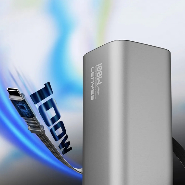 Lenyes PX2001D 20000 mAh Powerbank