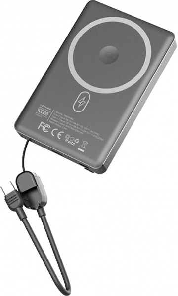 Lenyes PW1005D 10000 mAh Powerbank