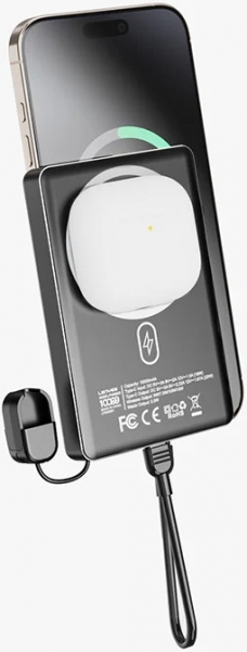 Lenyes PW1005D 10000 mAh Powerbank