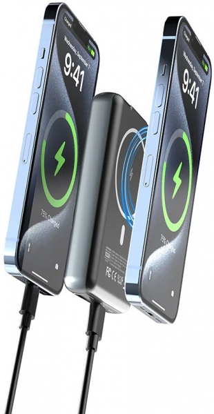 Lenyes PW1001D 10000 mAh Powerbank