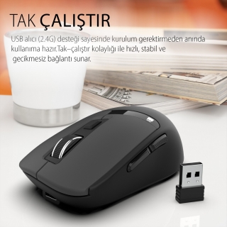 Inca IWM-512RS Mouse
