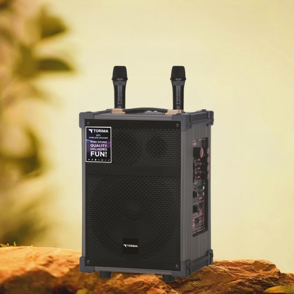 Torima D71 Müzik Sistemi