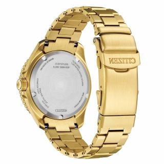 Citizen Promaster Eco-Drive BN0262-59W Kol Saati