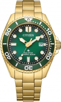 Citizen Promaster Eco-Drive BN0262-59W Kol Saati