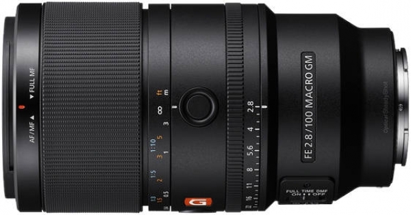 Sony FE 100mm F2.8 Macro GM OSS