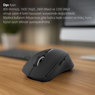 Inca IWM-397T Mouse