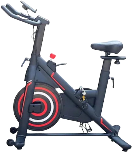 Walke Life Spinning Dikey Bisiklet