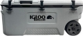 Igloo CoreMax 100 resim