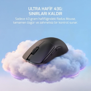 Gamepower Radus Mouse