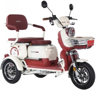 Arora Rüzgar New Moped