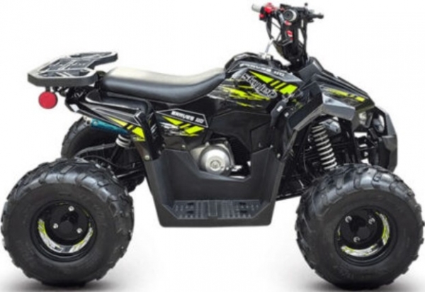 Skyjet Braves 110 ATV