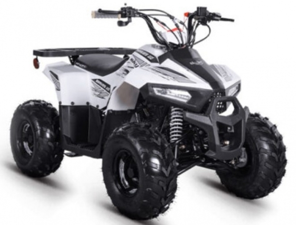 Skyjet Braves 110 ATV