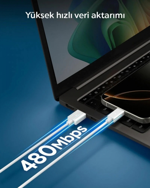 Spigen USB-A to USB-C 60W Şarj Kablosu (2 m)