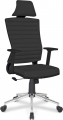 Rise Ofis Open resim