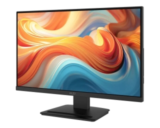 MSI Pro MP241 E14V Monitor