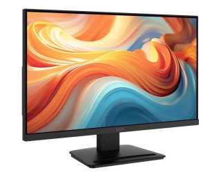 MSI Pro MP241 E14V Monitor