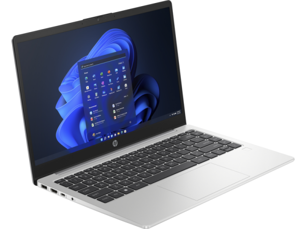 HP 245 G10 (D0NZ6ES) Ultrabook