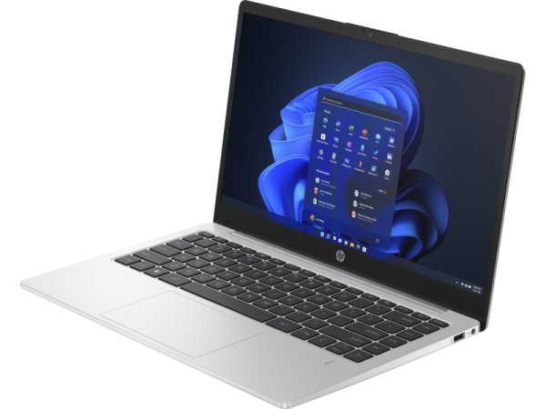 HP 245 G10 (D0NZ6ES) Ultrabook