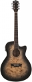 Washburn Burl Ace resim