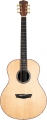 Washburn Elegante S24S resim