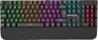 Inca Empousa IKG-458 resim