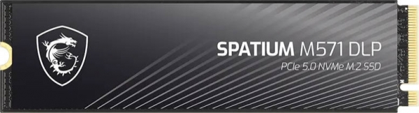 MSI Spatium M571 DLP SSD (4 TB)