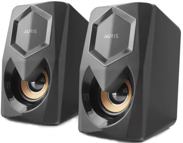 Auris PCSP40 Hoparlör