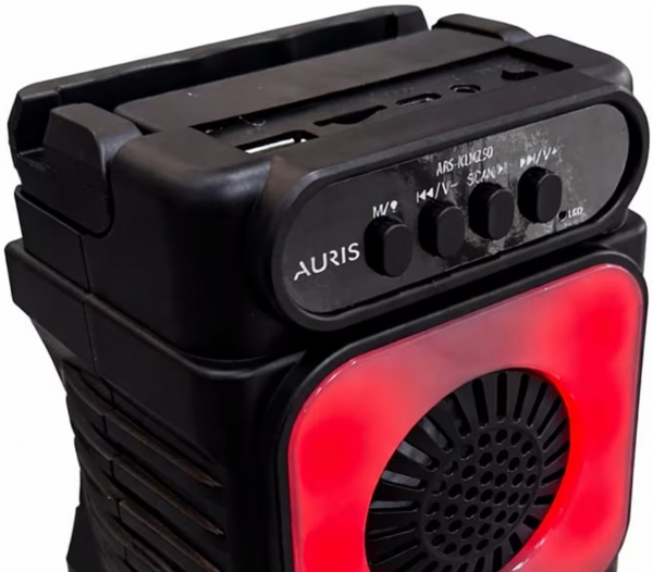 Auris KLN250 Bluetooth Hoparlör