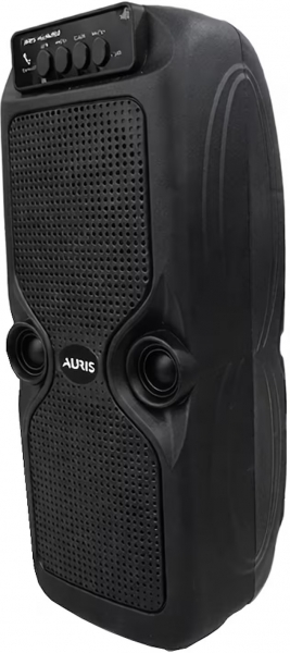 Auris KLN260 Bluetooth Hoparlör