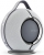 Devialet Mania Akıllı Ev Hoparlörü