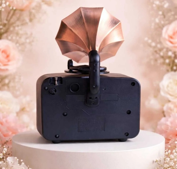Everton RT-606 Bluetooth Hoparlör