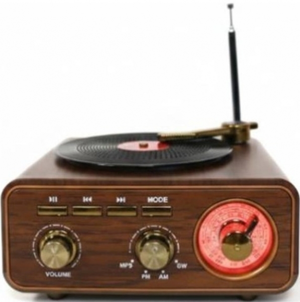 Everton RT-1317BT Bluetooth Hoparlör