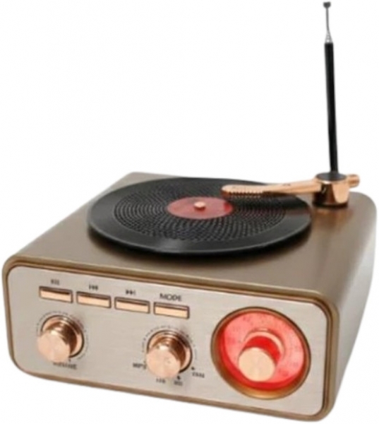 Everton RT-1217BT Bluetooth Hoparlör