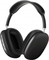 Lapas P10 resim