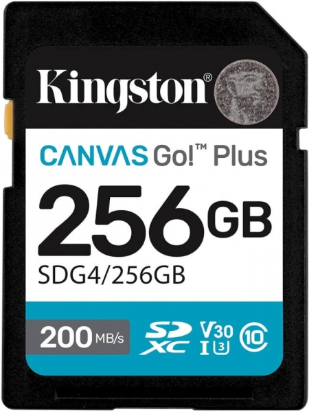 Kingston Canvas Go Plus SD (256 GB)