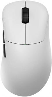 Rawm ER21 Pro Mouse