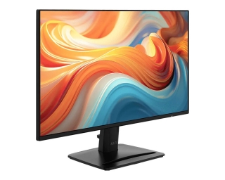 MSI Pro MP242 E14A Monitör