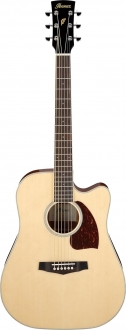 Ibanez PF16WCE Elektro Akustik Gitar