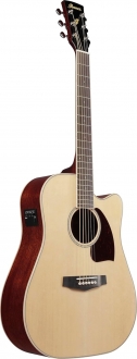 Ibanez PF16WCE Elektro Akustik Gitar