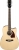Ibanez PF16WCE Elektro Akustik Gitar