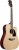 Ibanez PF16WCE Elektro Akustik Gitar