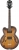 Ibanez AF55L Elektro Gitar