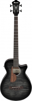 Ibanez AEGB25E Akustik Bas Gitar