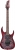 Ibanez RG470PB Elektro Gitar