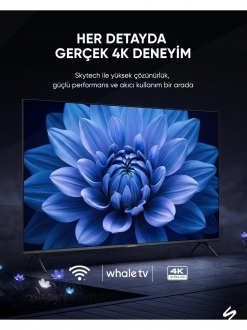 Skytech Q55ST3405 Ultra HD (4K) TV