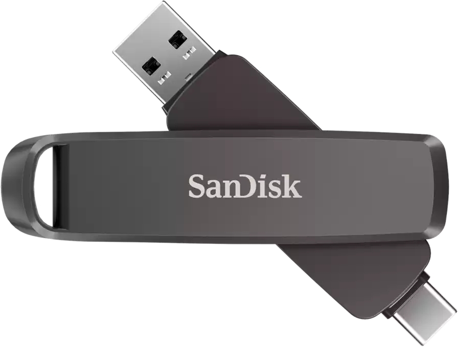 Sandisk extreme pro dual flash memory (1 TB)